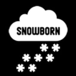 Snowborn Games