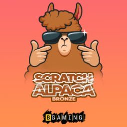 Scratch Alpaca bronze