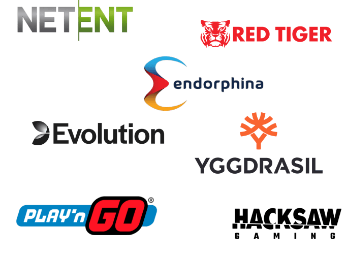 Softwareproviders logo header