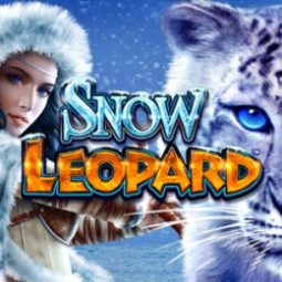 Snow Leopard