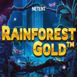 Rainforest Gold