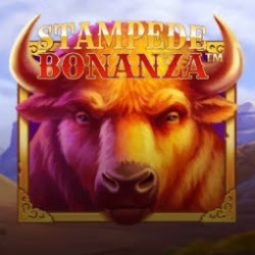 Stampede Bonanza